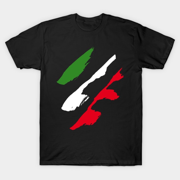 Italy Style Flag T-Shirt by Nikokosmos